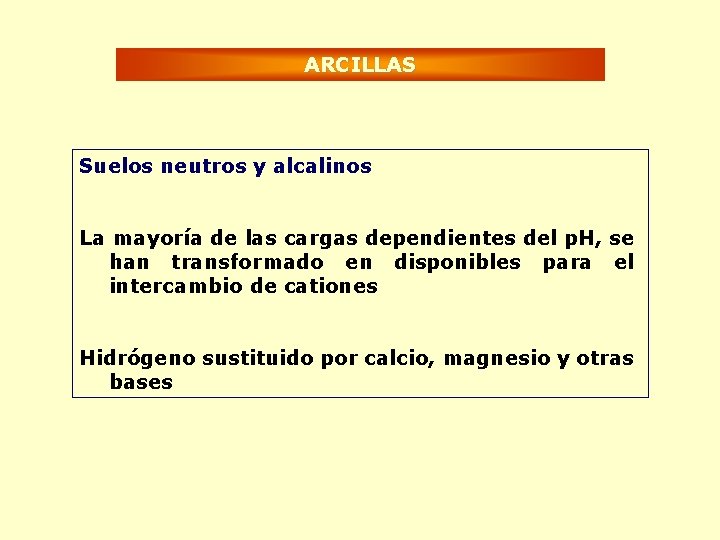 ARCILLAS Suelos neutros y alcalinos La mayoría de las cargas dependientes del p. H,