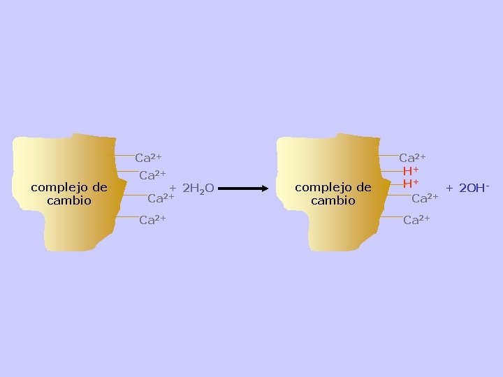 Ca 2+ complejo de cambio Ca 2+ + 2 H 2 O Ca 2+