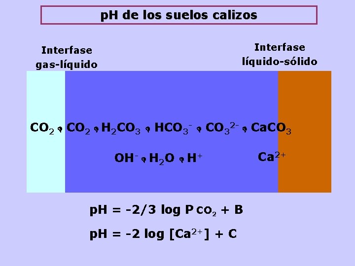 p. H de los suelos calizos Interfase líquido-sólido Interfase gas-líquido CO 2 H 2
