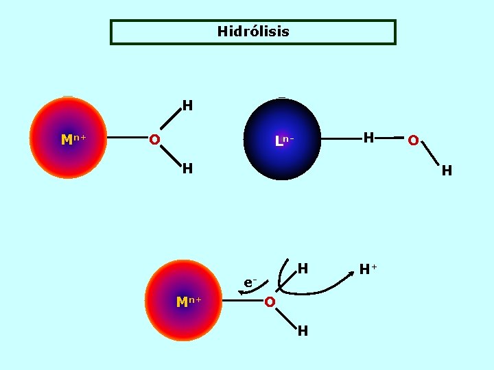 Hidrólisis H O H Ln. H H H e. Mn+ O H H+ 