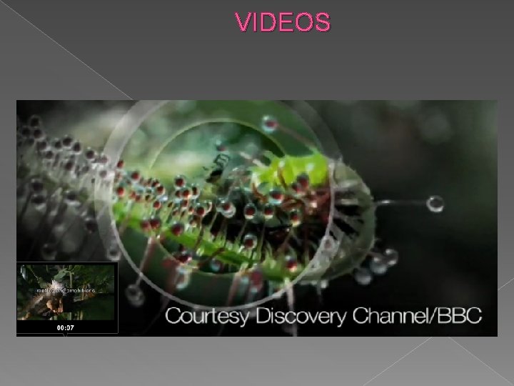 VIDEOS 