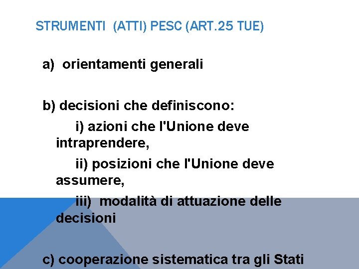 STRUMENTI (ATTI) PESC (ART. 25 TUE) a) orientamenti generali b) decisioni che definiscono: i)