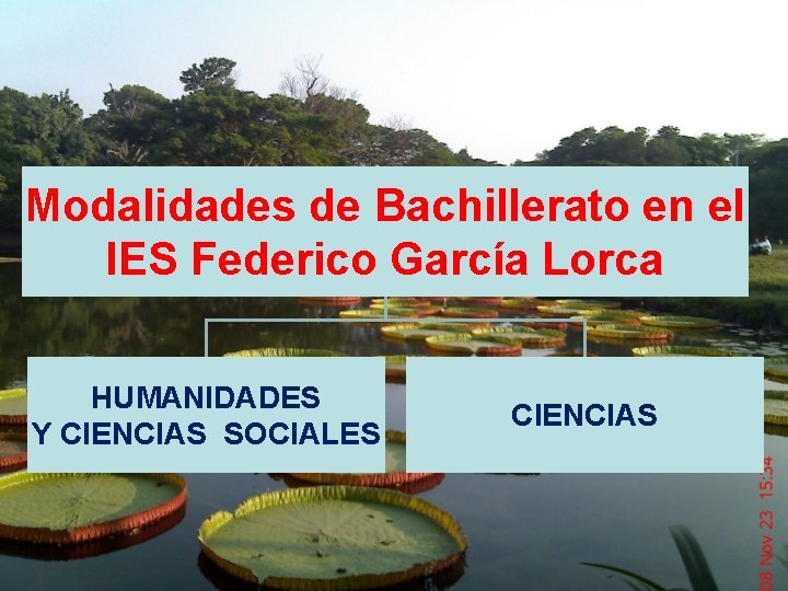 Modalidades de Bachillerato en el IES Federico García Lorca HUMANIDADES Y CIENCIAS SOCIALES CIENCIAS