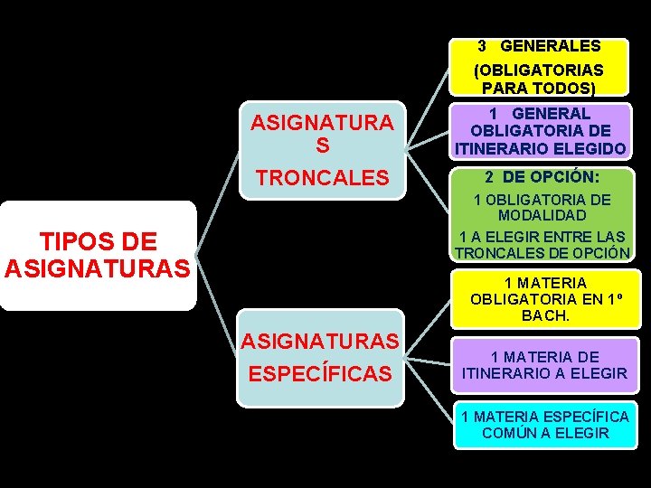 3 GENERALES (OBLIGATORIAS PARA TODOS) ASIGNATURA S TRONCALES 1 GENERAL OBLIGATORIA DE ITINERARIO ELEGIDO