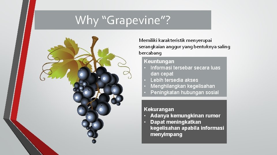Why “Grapevine”? Memiliki karakteristik menyerupai serangkaian anggur yang bentuknya saling bercabang Keuntungan • Informasi