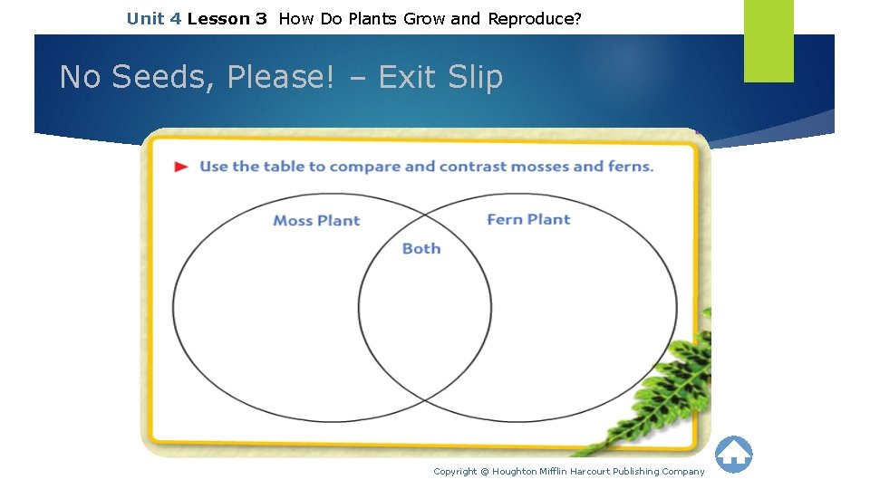 Unit 4 Lesson 3 How Do Plants Grow and Reproduce? No Seeds, Please! –