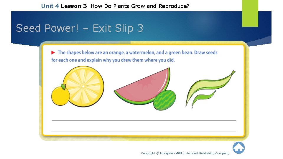 Unit 4 Lesson 3 How Do Plants Grow and Reproduce? Seed Power! – Exit
