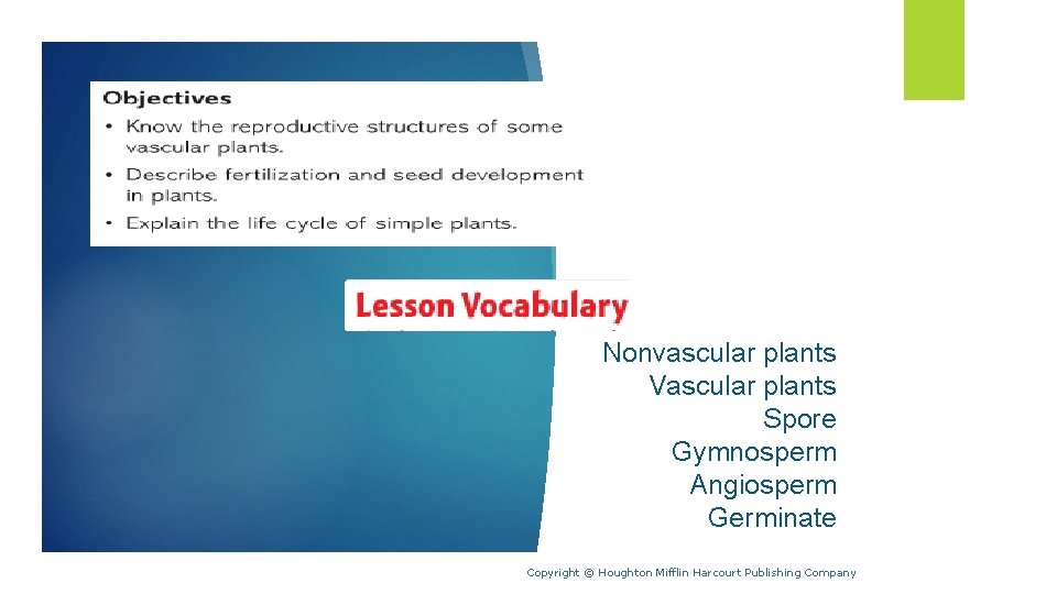 Nonvascular plants Vascular plants Spore Gymnosperm Angiosperm Germinate Copyright © Houghton Mifflin Harcourt Publishing