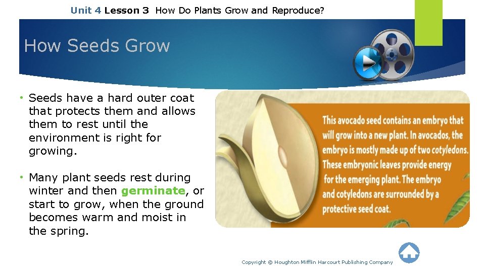 Unit 4 Lesson 3 How Do Plants Grow and Reproduce? How Seeds Grow •