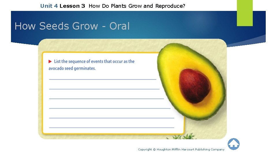 Unit 4 Lesson 3 How Do Plants Grow and Reproduce? How Seeds Grow -