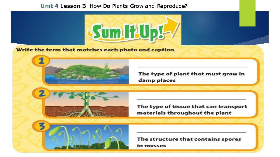 Unit 4 Lesson 3 How Do Plants Grow and Reproduce? Copyright © Houghton Mifflin