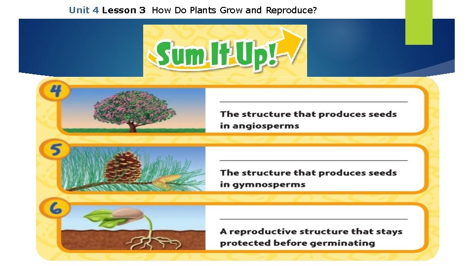 Unit 4 Lesson 3 How Do Plants Grow and Reproduce? Copyright © Houghton Mifflin