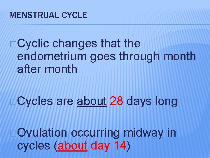 MENSTRUAL CYCLE �Cyclic changes that the endometrium goes through month after month �Cycles are