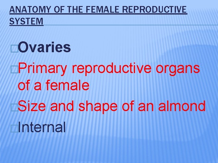 ANATOMY OF THE FEMALE REPRODUCTIVE SYSTEM �Ovaries �Primary reproductive organs of a female �Size