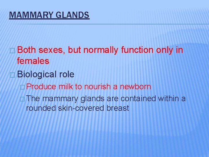 MAMMARY GLANDS � Both sexes, but normally function only in females � Biological role
