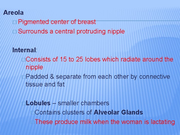 Areola � Pigmented center of breast � Surrounds a central protruding nipple Internal: �Consists