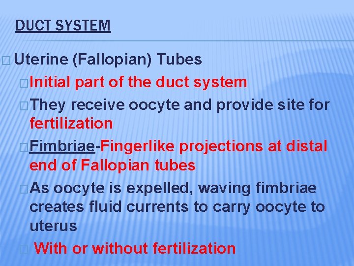 DUCT SYSTEM � Uterine (Fallopian) Tubes �Initial part of the duct system �They receive