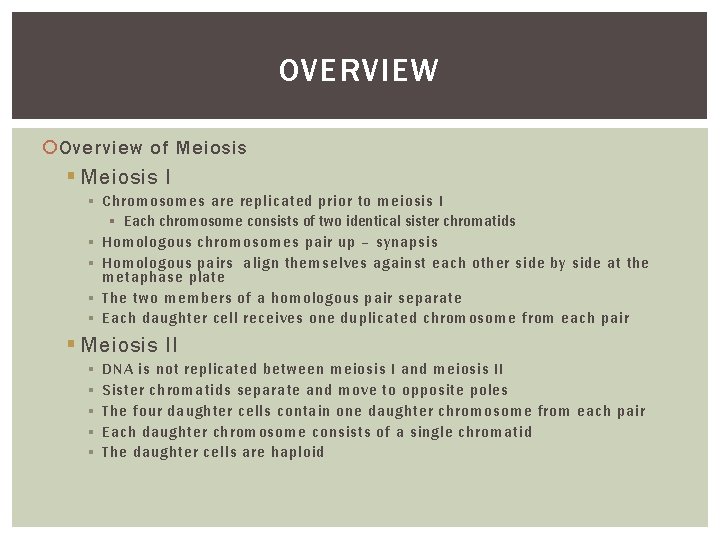 OVERVIEW Overview of Meiosis § Meiosis I § Chromosomes are replicated prior to meiosis