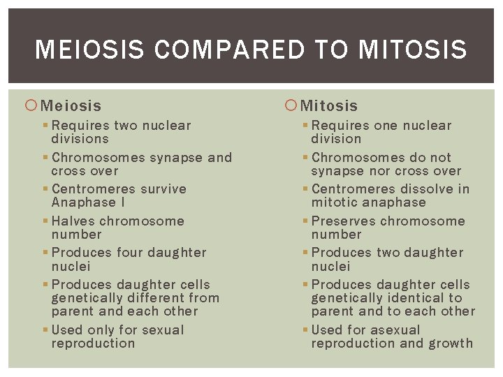 MEIOSIS COMPARED TO MITOSIS Meiosis § Requires two nuclear divisions § Chromosomes synapse and
