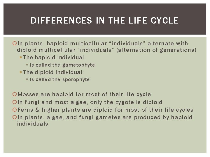 DIFFERENCES IN THE LIFE CYCLE In plants, haploid multicellular “individuals” alternate with diploid multicellular