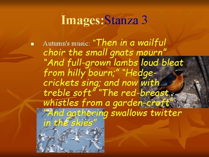 Images: Stanza 3 n Autumn's music: “Then in a wailful choir the small gnats