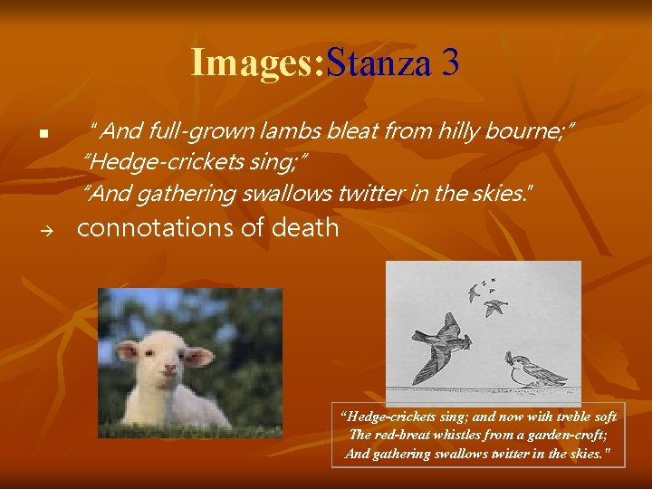 Images: Stanza 3 n “And full-grown lambs bleat from hilly bourne; ” “Hedge-crickets sing;