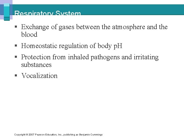 Respiratory System § Exchange of gases between the atmosphere and the blood § Homeostatic