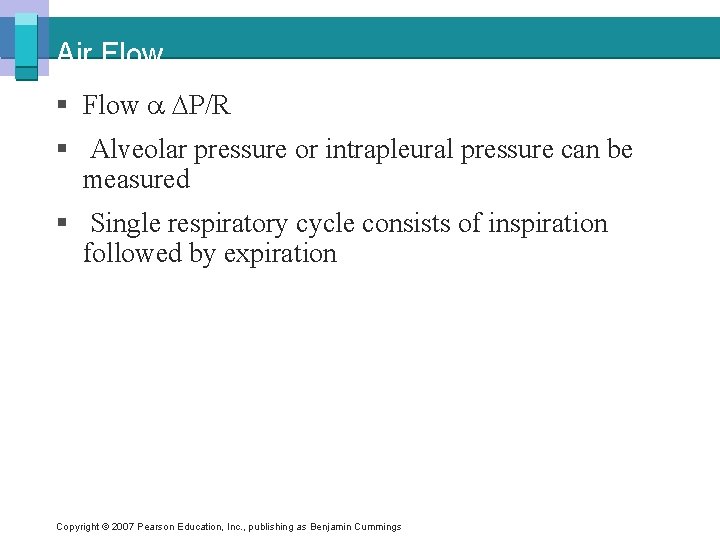 Air Flow § Flow P/R § Alveolar pressure or intrapleural pressure can be measured