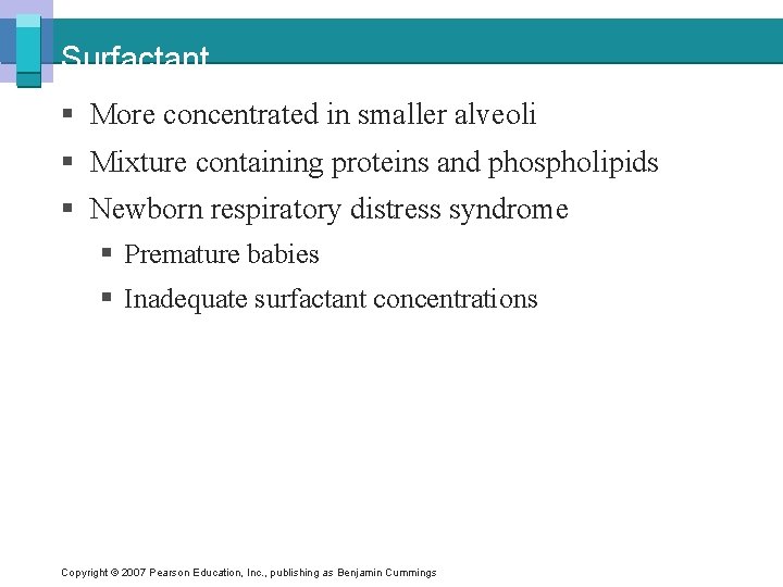 Surfactant § More concentrated in smaller alveoli § Mixture containing proteins and phospholipids §
