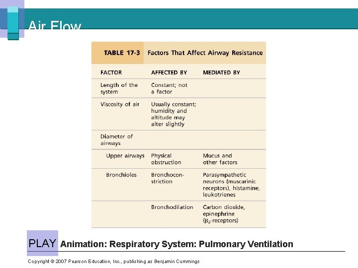 Air Flow PLAY Animation: Respiratory System: Pulmonary Ventilation Copyright © 2007 Pearson Education, Inc.