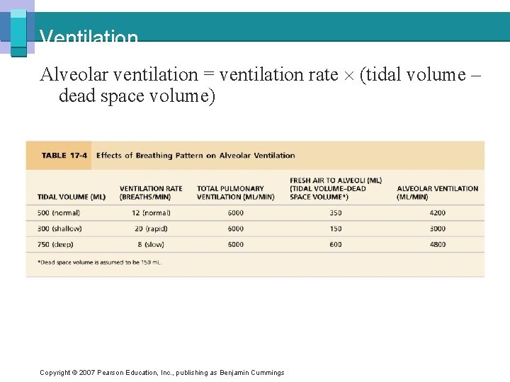 Ventilation Alveolar ventilation = ventilation rate (tidal volume – dead space volume) Copyright ©