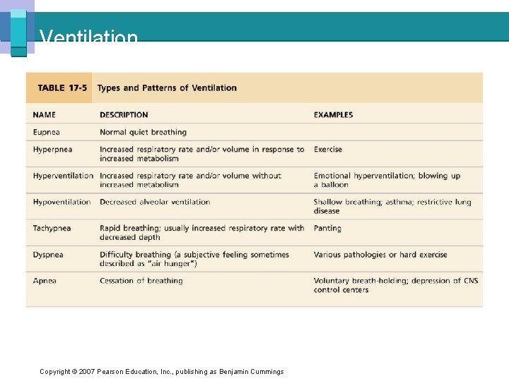 Ventilation Copyright © 2007 Pearson Education, Inc. , publishing as Benjamin Cummings 