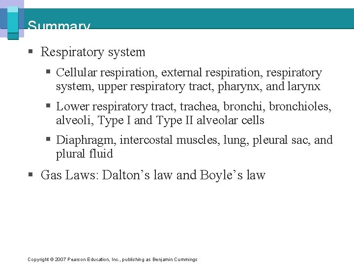 Summary § Respiratory system § Cellular respiration, external respiration, respiratory system, upper respiratory tract,