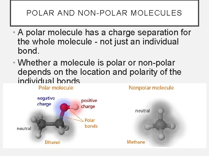 POLAR AND NON-POLAR MOLECULES • A polar molecule has a charge separation for the