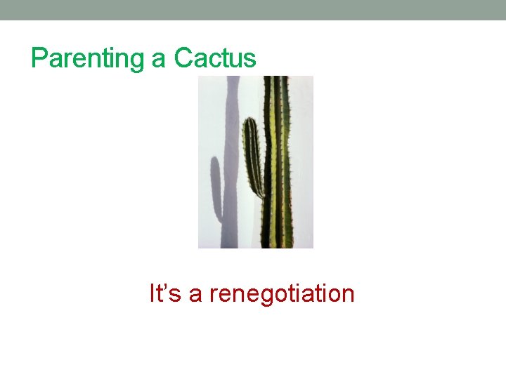 Parenting a Cactus It’s a renegotiation 