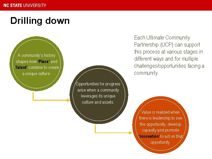 Drilling down Each Ultimate Community Partnership (UCP) can support this process at various stages