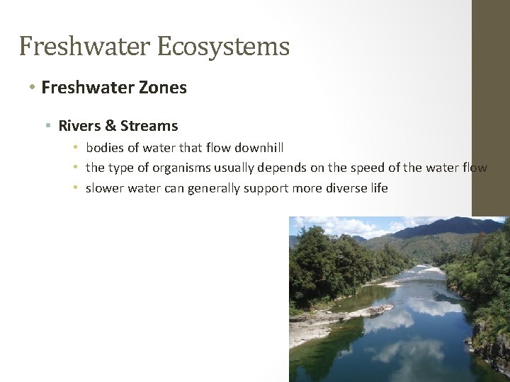 Freshwater Ecosystems • Freshwater Zones • Rivers & Streams • bodies of water that