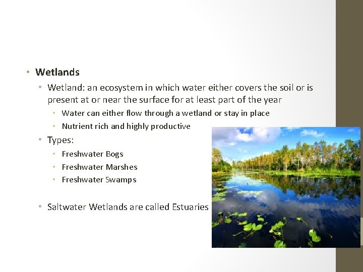  • Wetlands • Wetland: an ecosystem in which water either covers the soil