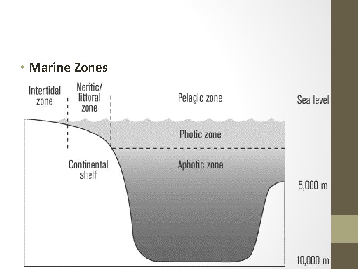  • Marine Zones 