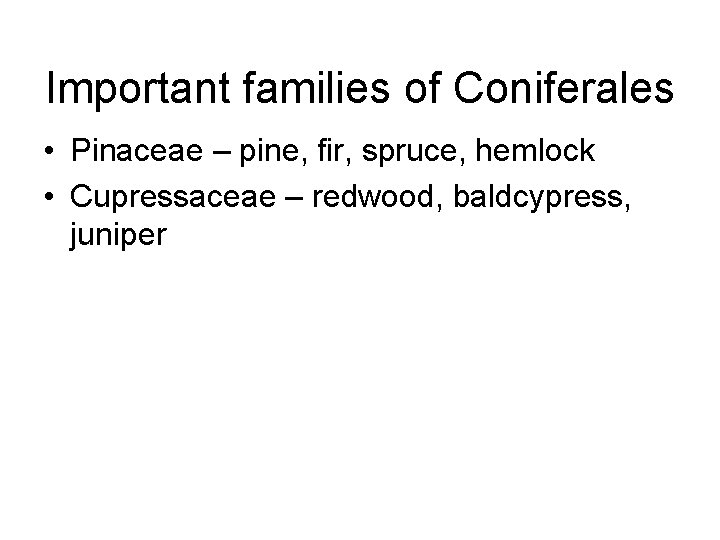 Important families of Coniferales • Pinaceae – pine, fir, spruce, hemlock • Cupressaceae –