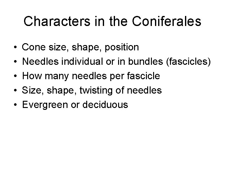 Characters in the Coniferales • • • Cone size, shape, position Needles individual or