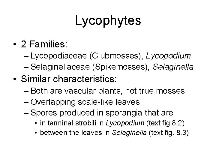 Lycophytes • 2 Families: – Lycopodiaceae (Clubmosses), Lycopodium – Selaginellaceae (Spikemosses), Selaginella • Similar