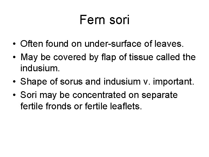 Fern sori • Often found on under-surface of leaves. • May be covered by