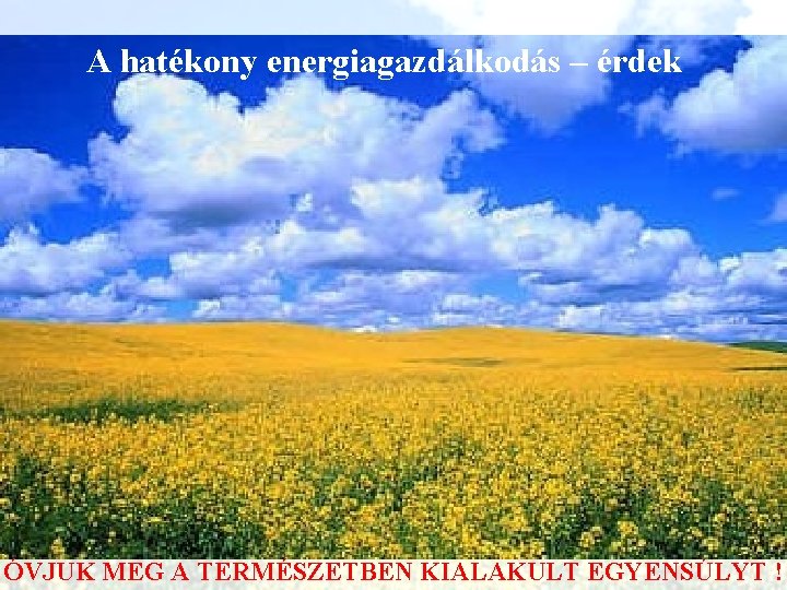 A hatékony energiagazdálkodás – érdek ÓVJUK MEG A TERMÉSZETBEN KIALAKULT EGYENSÚLYT ! A hatékony energiagazdálkodás – érdek ÓVJUK MEG A TERMÉSZETBEN KIALAKULT EGYENSÚLYT !