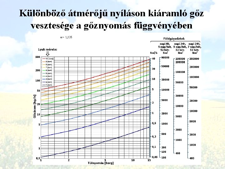 Különböző átmérőjű nyíláson kiáramló gőz vesztesége a gőznyomás függvényében 