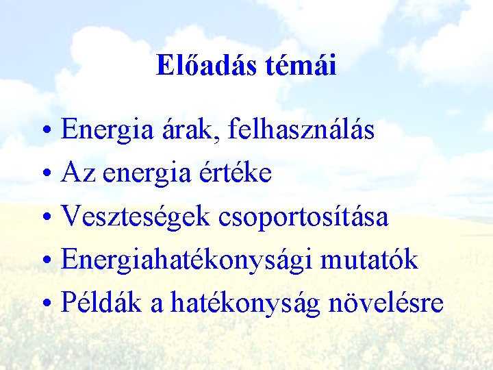 Előadás témái • Energia árak, felhasználás • Az energia értéke • Veszteségek csoportosítása •