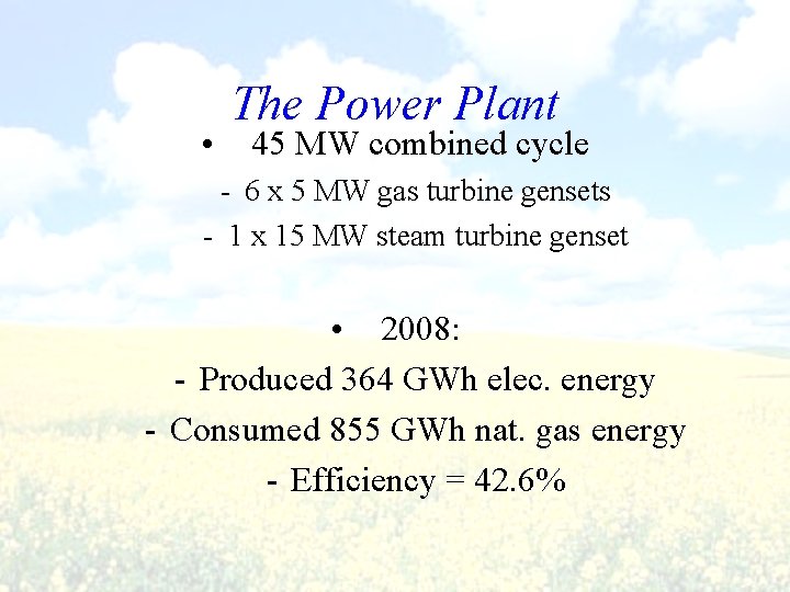 • The Power Plant 45 MW combined cycle - 6 x 5 MW • The Power Plant 45 MW combined cycle - 6 x 5 MW