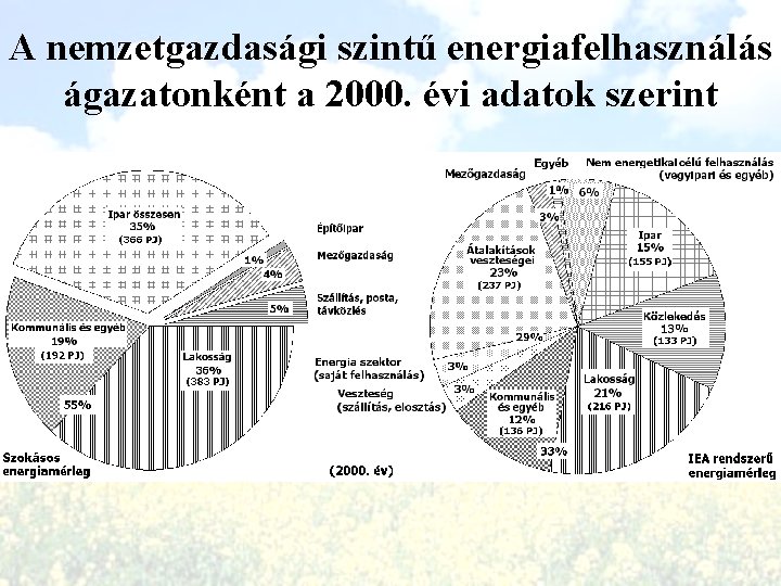 A nemzetgazdasági szintű energiafelhasználás ágazatonként a 2000. évi adatok szerint 