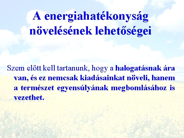 A energiahatékonyság növelésének lehetőségei Szem előtt kell tartanunk, hogy a halogatásnak ára van, és