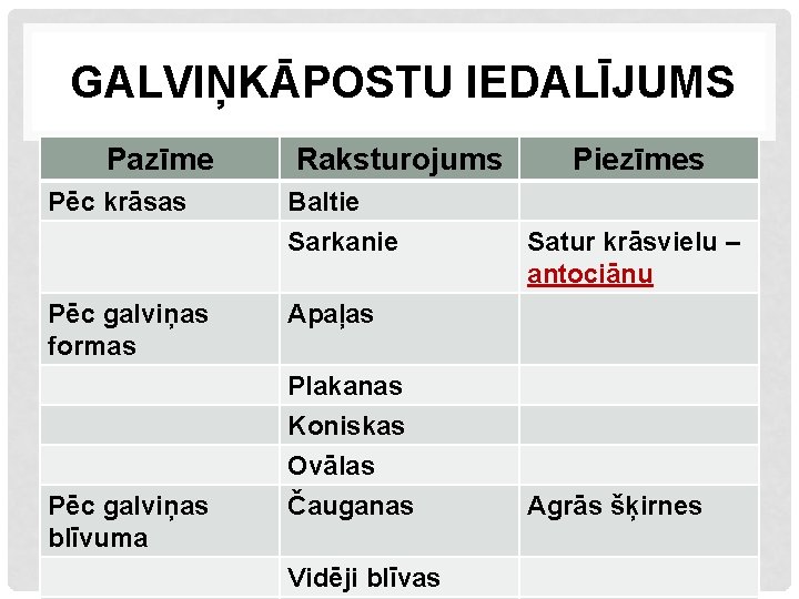 GALVIŅKĀPOSTU IEDALĪJUMS Pazīme Pēc krāsas Pēc galviņas formas Pēc galviņas blīvuma Raksturojums Baltie Sarkanie